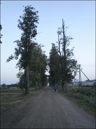 Tarhuny. In the village 