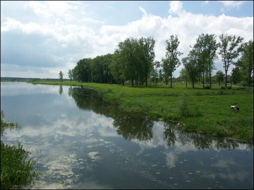 Lachavičy. Landscapes 