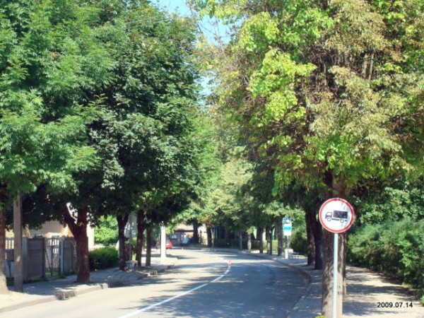 Širvintos. Landscapes 