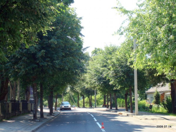 Širvintos. Landscapes 
