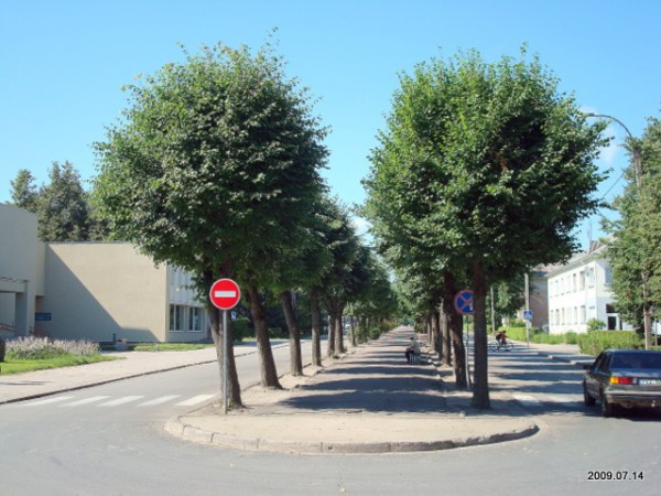 Širvintos. Landscapes 