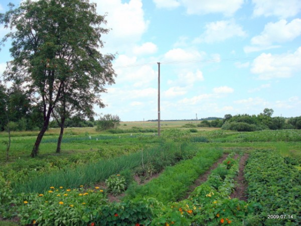 Szeszołki II. Krajobrazy 