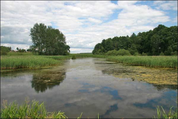 Вялікая Мядзвядка. Сядзіба (рэшткі)