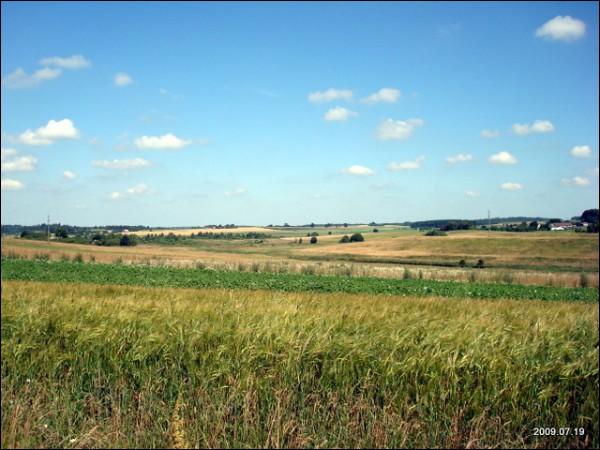 Bagaslaviškis. Landscapes 