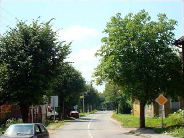 Gelvonai. Landscapes 