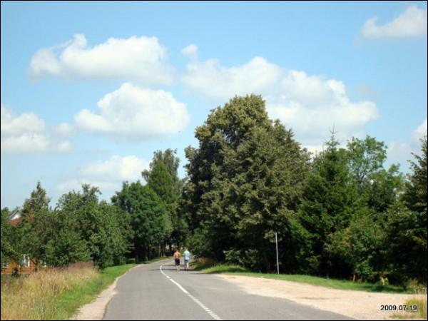 Gelvonai. Landscapes 