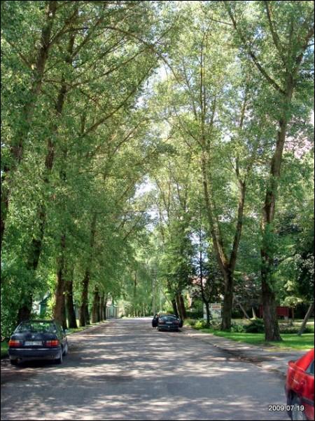 Čiobiškis. Landscapes 