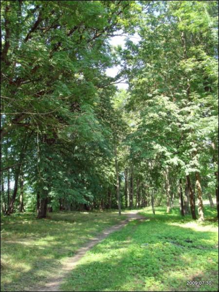  - Усадьба . В парке