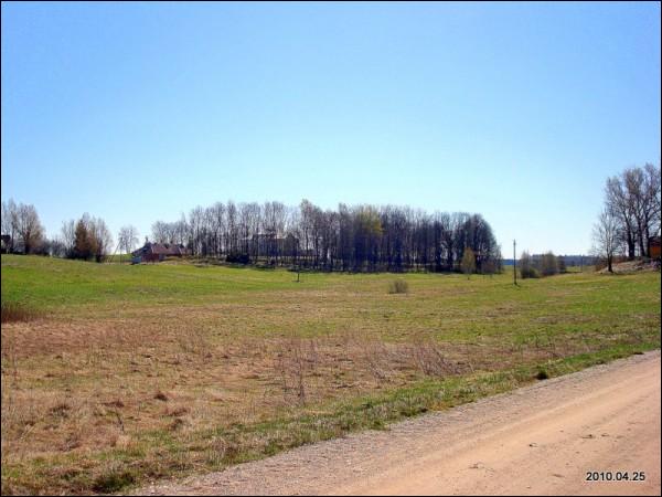  - Усадьба . Вид на парк и дворец со стороны кладбища