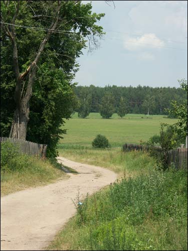  - Landscapes . 