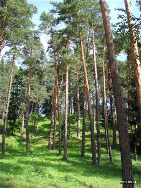 Aukštadvaris. Landscapes 