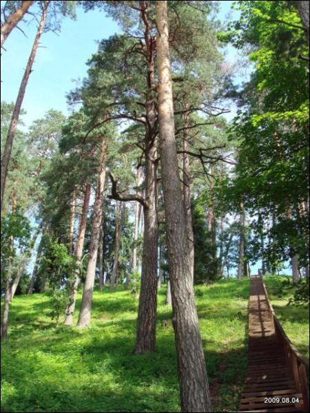 Aukštadvaris. Landscapes 