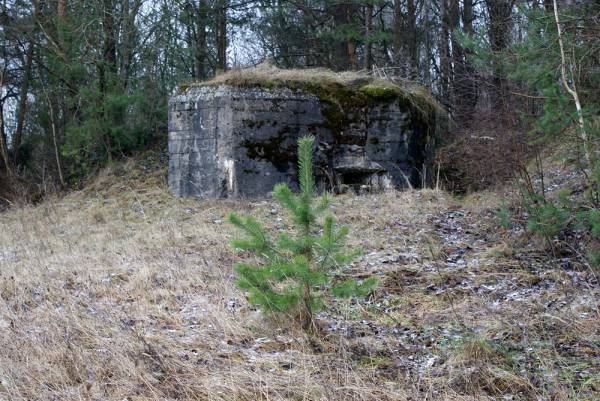 Arabaŭščyna. Defensive Fortifications 