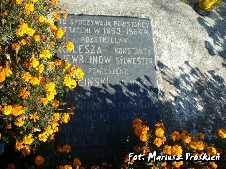  - cemetery . Tomb of insurgents of 1863-64. 