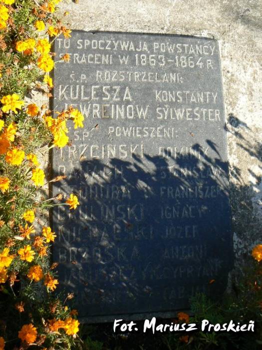  - cemetery . Tomb of insurgents of 1863-64. 