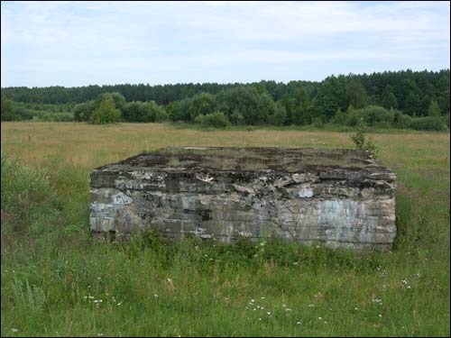 Pietuchowsczyzna. Umocnienia obronne 