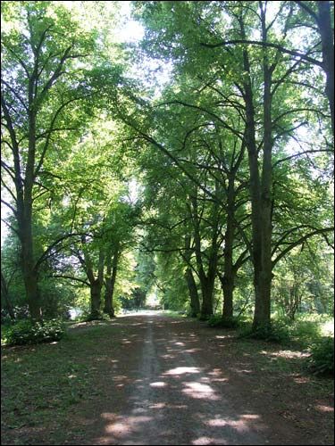 Rzepichów. Park dworski Potockich
