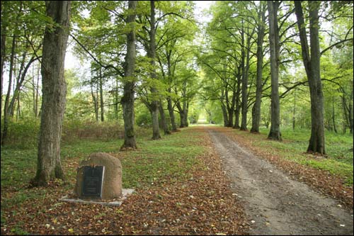 Rzepichów. Park dworski Potockich