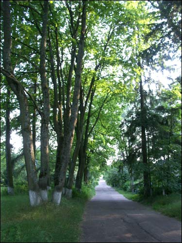 Parkway Saviejki. Manor of Nowicki