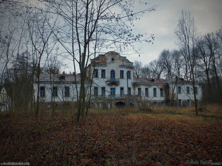  - Zespół dworsko-parkowy Nowickich. 