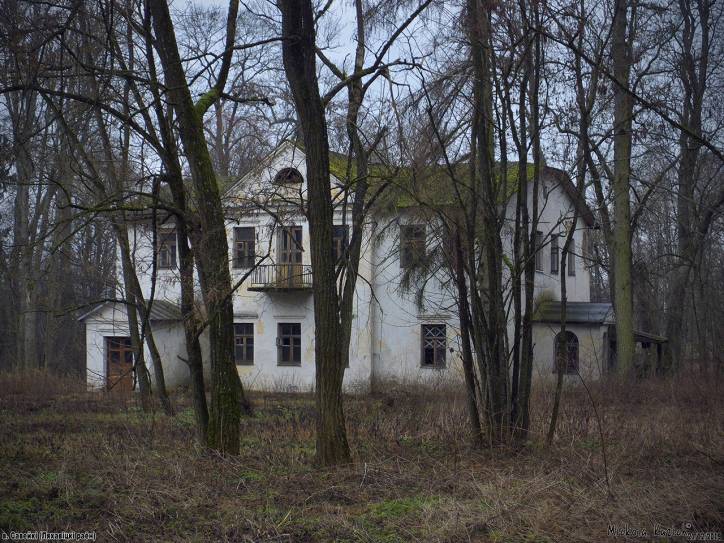  - Zespół dworsko-parkowy Nowickich. 