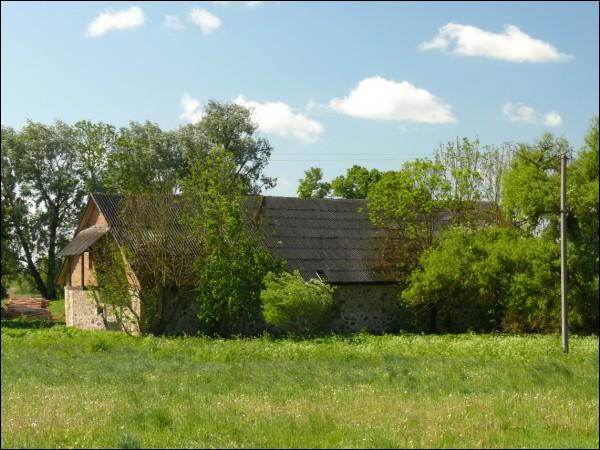 Vialikaje Volžava. Farmstead 
