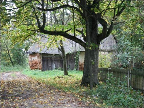 Swojatycze. Park dworski Czapskich