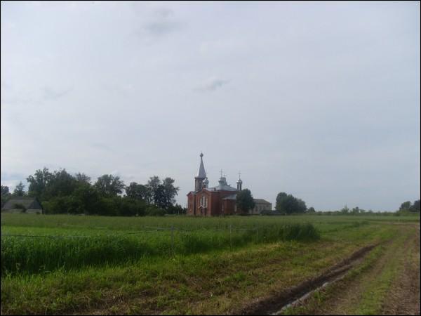  ().  