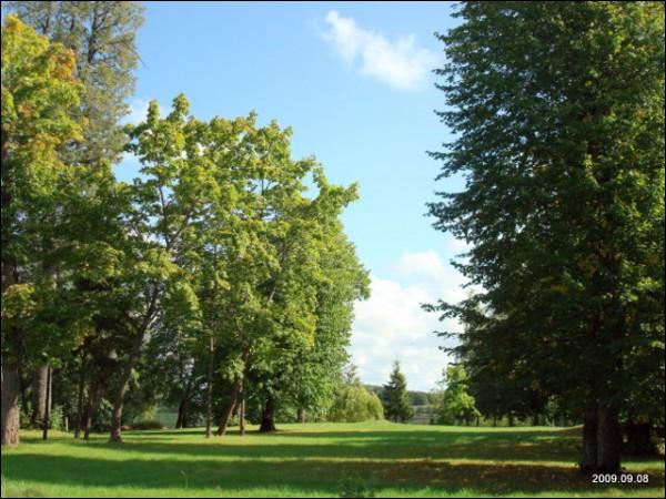 Bijutiškis. Manor 