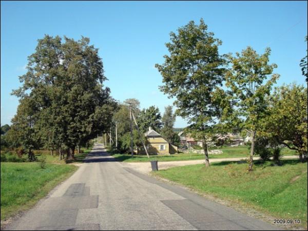 Арнионис. В деревне 
