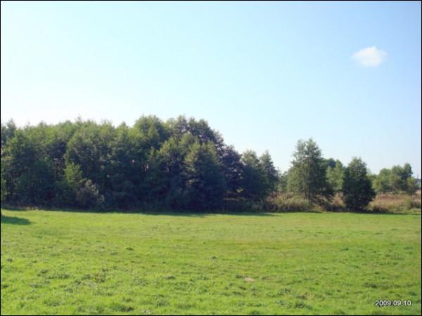  - Краявіды . 