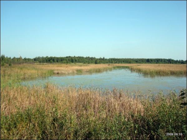 Інтуркі. Краявіды 