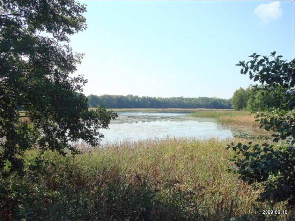 Інтуркі. Краявіды 