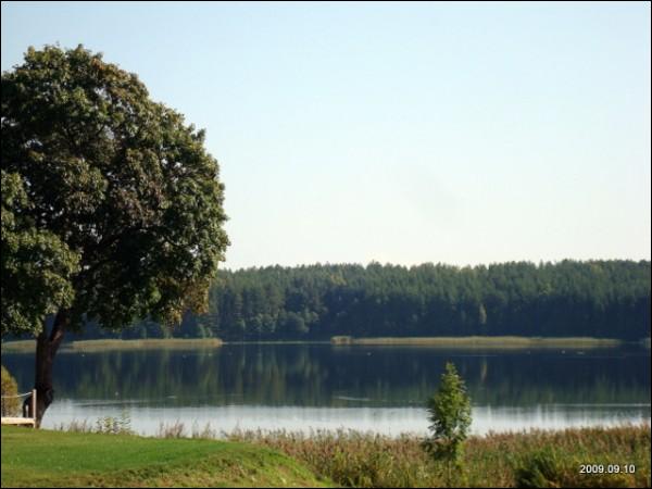  - Landscapes . 