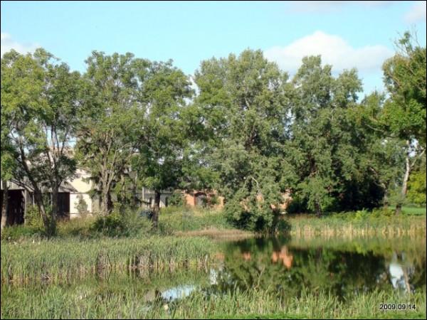 Lyduokiai. Manor 