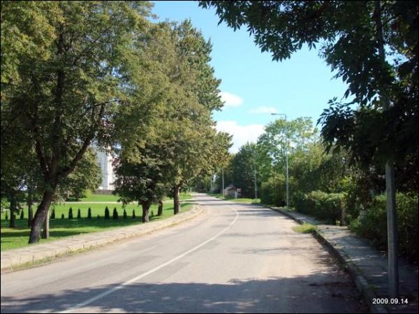 Lyduokiai. Town streets 