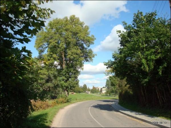  - Ulice miasteczka . 