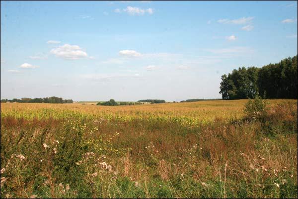  - Пейзажи . Окрестности деревни Лебежаны
