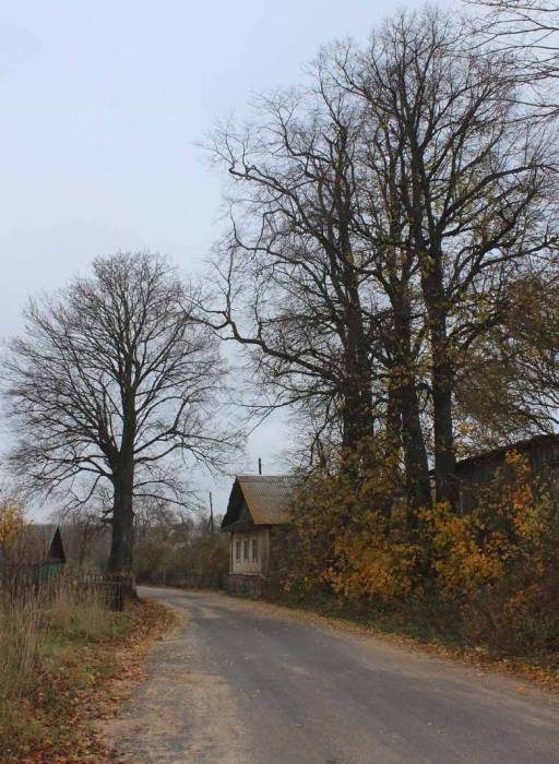 Sieliszcze. Krajobrazy 