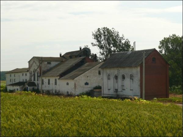 Сынкавічы. Вінакурня 