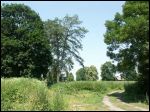 Waszkowce.  Park dworski 