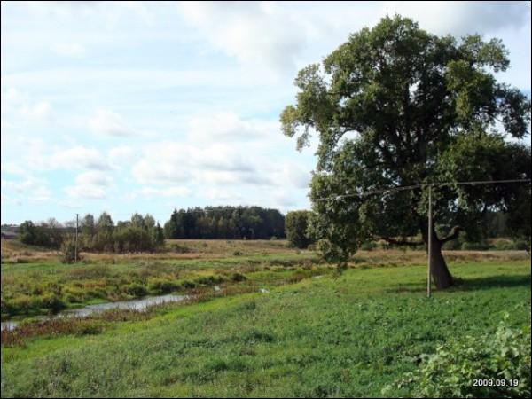 Zułów. Dwór (pozostałości)