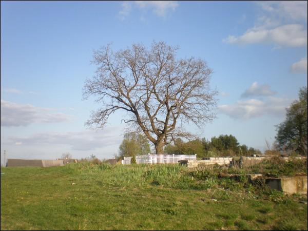 Zułów. Dwór (pozostałości)