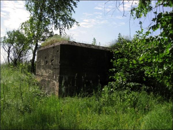 Waszkowce.  Umocnienia obronne 