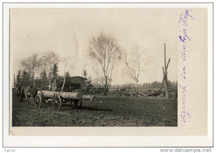 Святая Воля. У вёсцы 