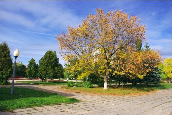 Novałukoml. Town streets 