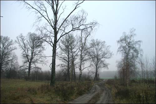 Zapole (Niedźwiedzica). Krajobrazy 