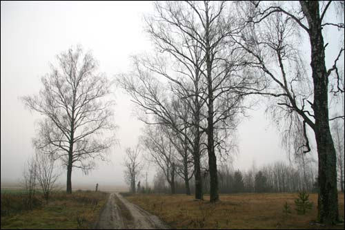 Zapole (Niedźwiedzica). Krajobrazy 