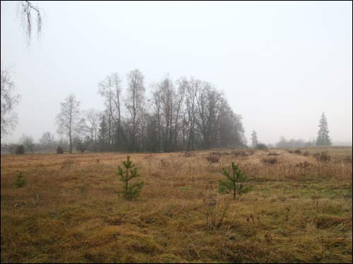 Zapole (Niedźwiedzica). Krajobrazy 