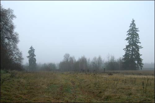 Zapole (Niedźwiedzica). Krajobrazy 